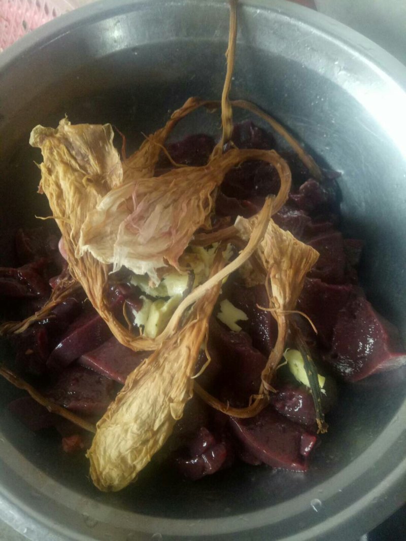 昙花苗与昙花干