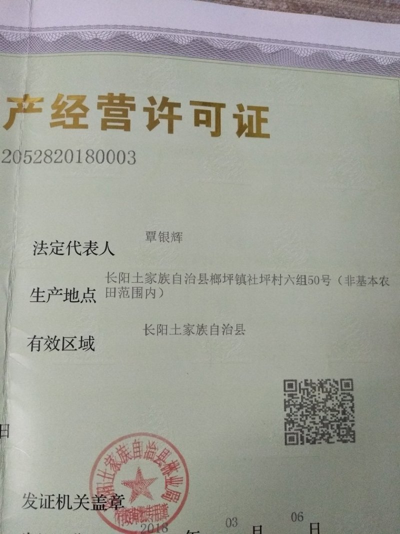 长阳木瓜苗皱皮无籽木瓜苗资丘木瓜苗药用木瓜