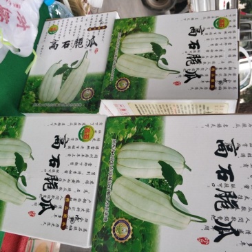 高石脆瓜