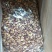 灰枣大圈，打粉食品添加花茶辅料