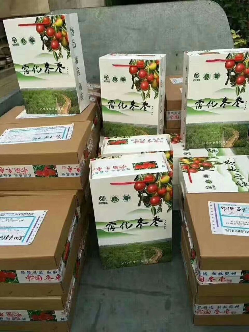沾化冬枣