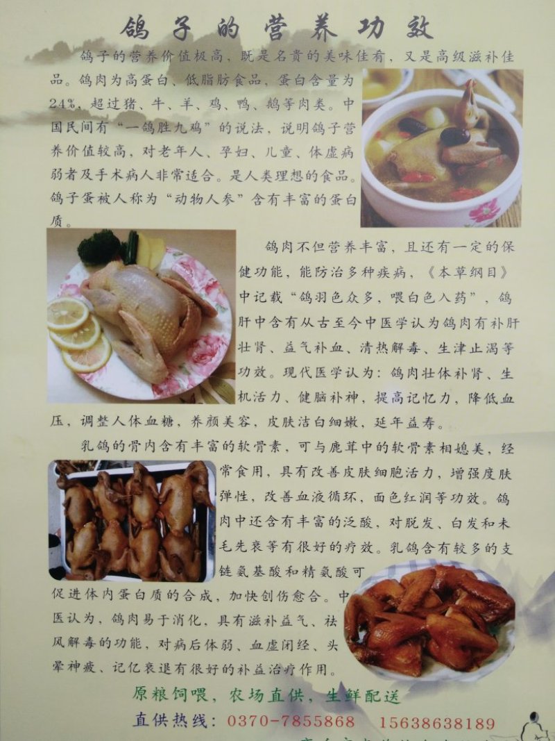 申氏秘制手撕鸽
