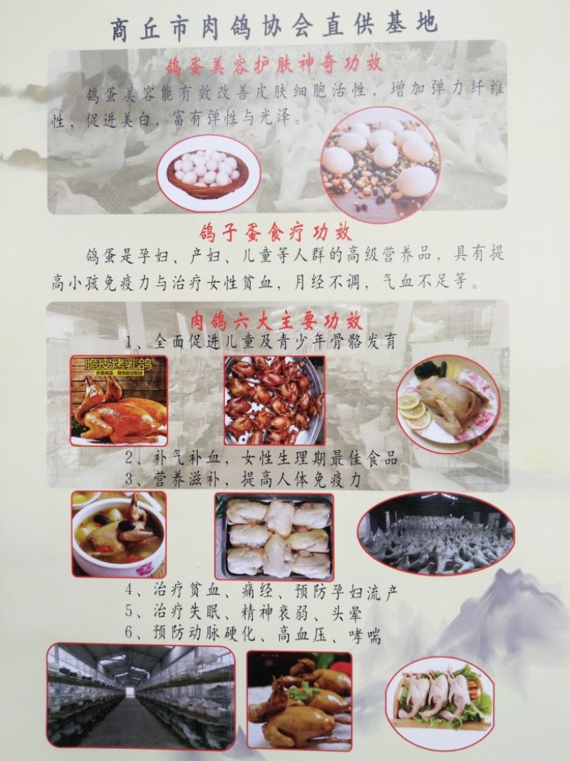 申氏秘制手撕鸽
