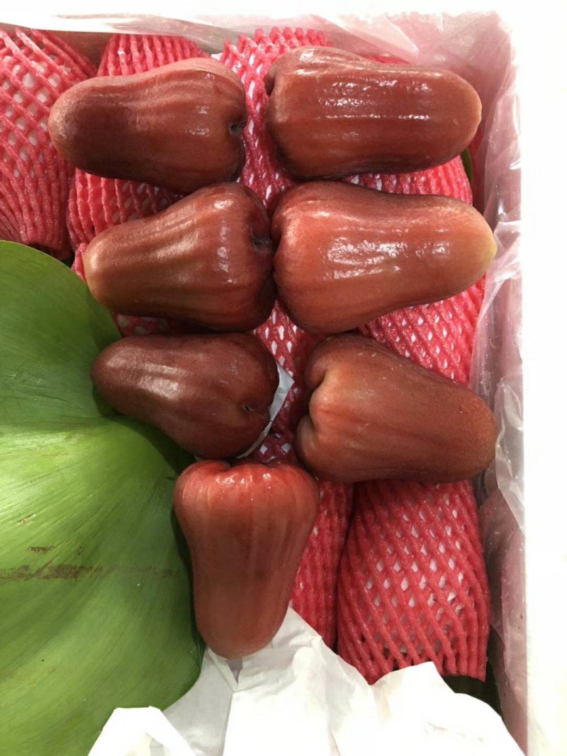 莲雾