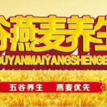 五谷燕麦养生饼