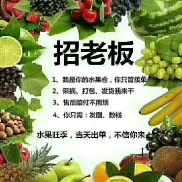 自家猕猴桃