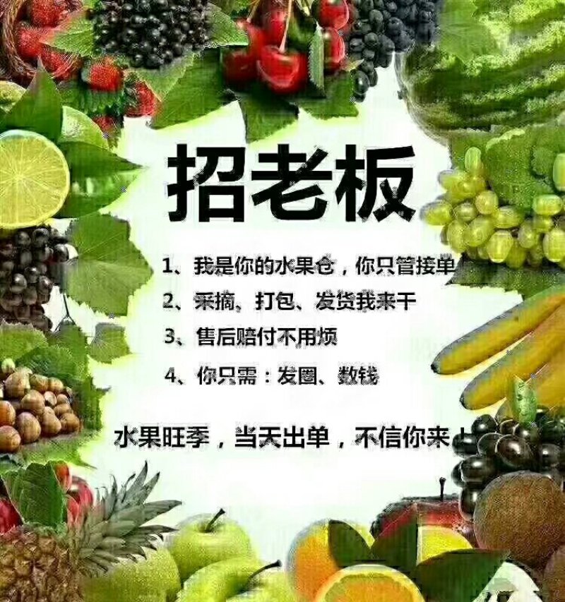 自家猕猴桃