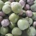 【年货节】干核桃，自家种植。无漂白，自然嗮干，老树核桃。
