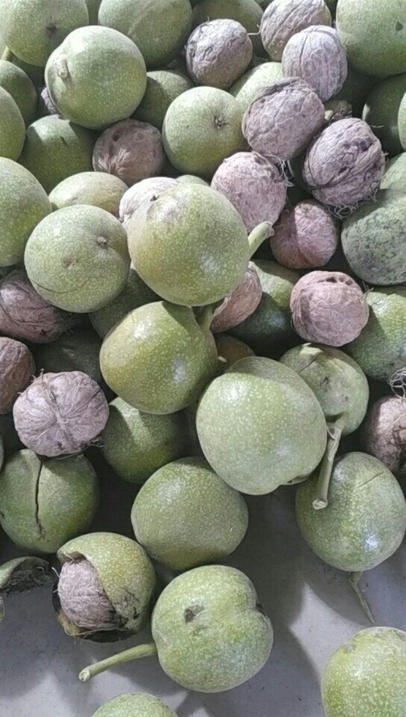 【年货节】干核桃，自家种植。无漂白，自然嗮干，老树核桃。