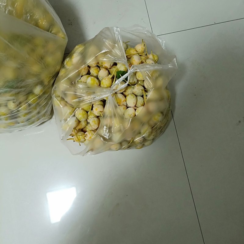 银杏果