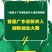 贵龙刺梨