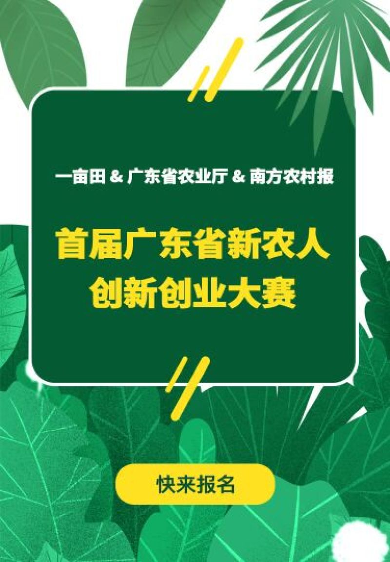 贵龙刺梨