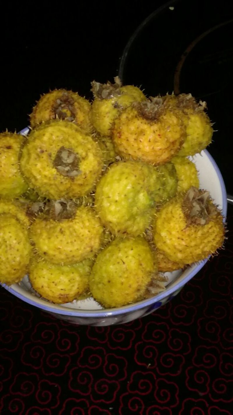 贵龙刺梨
