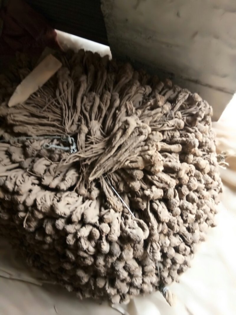 当归成品，小货，精选产地小货，产地认证，无硫当归。