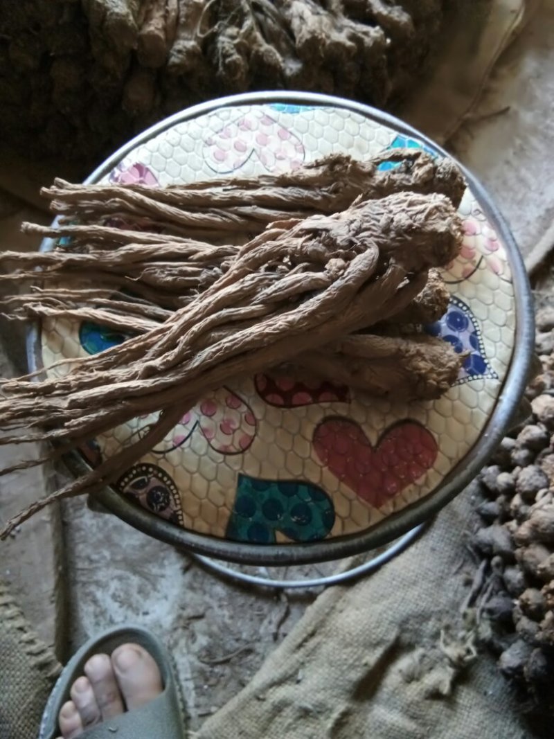 当归成品，小货，精选产地小货，产地认证，无硫当归。