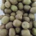 红心猕猴桃