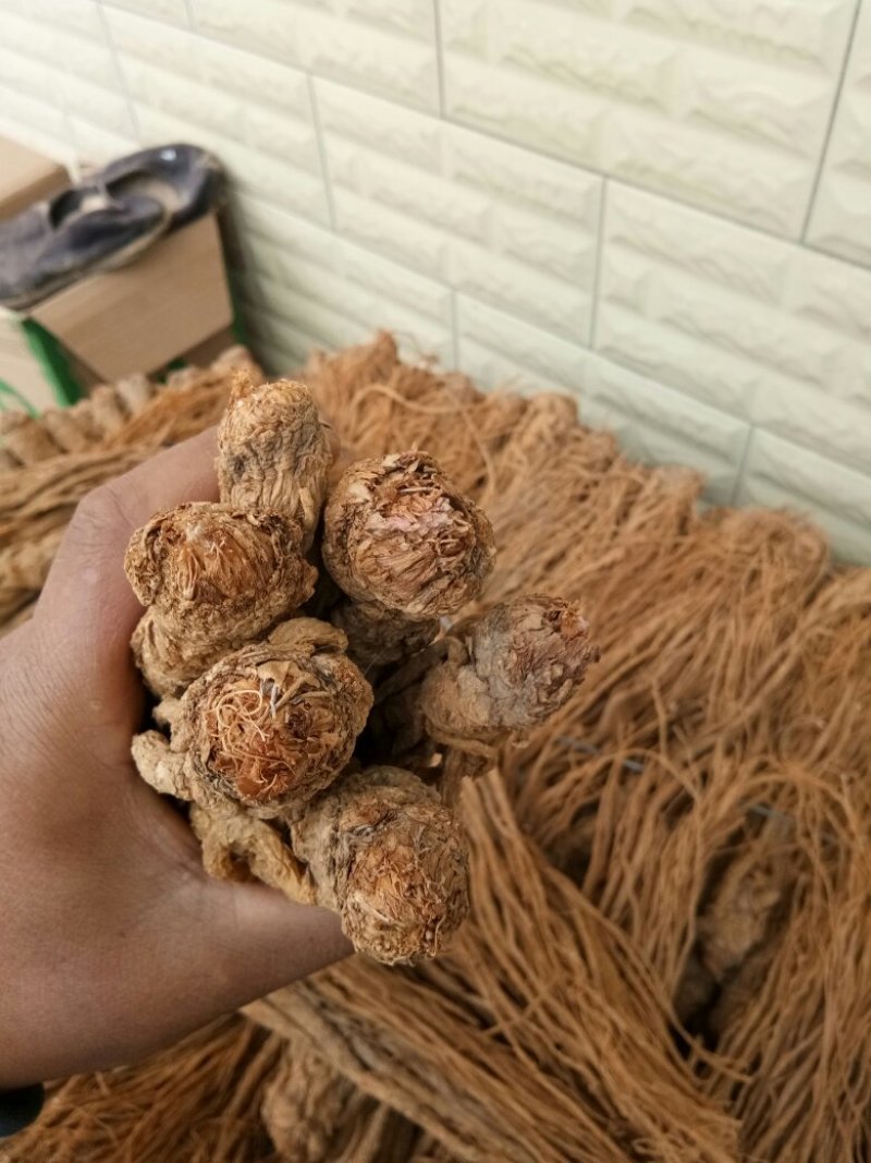 水洗黄当归，颜色好，条形长，做工细，个头一致。