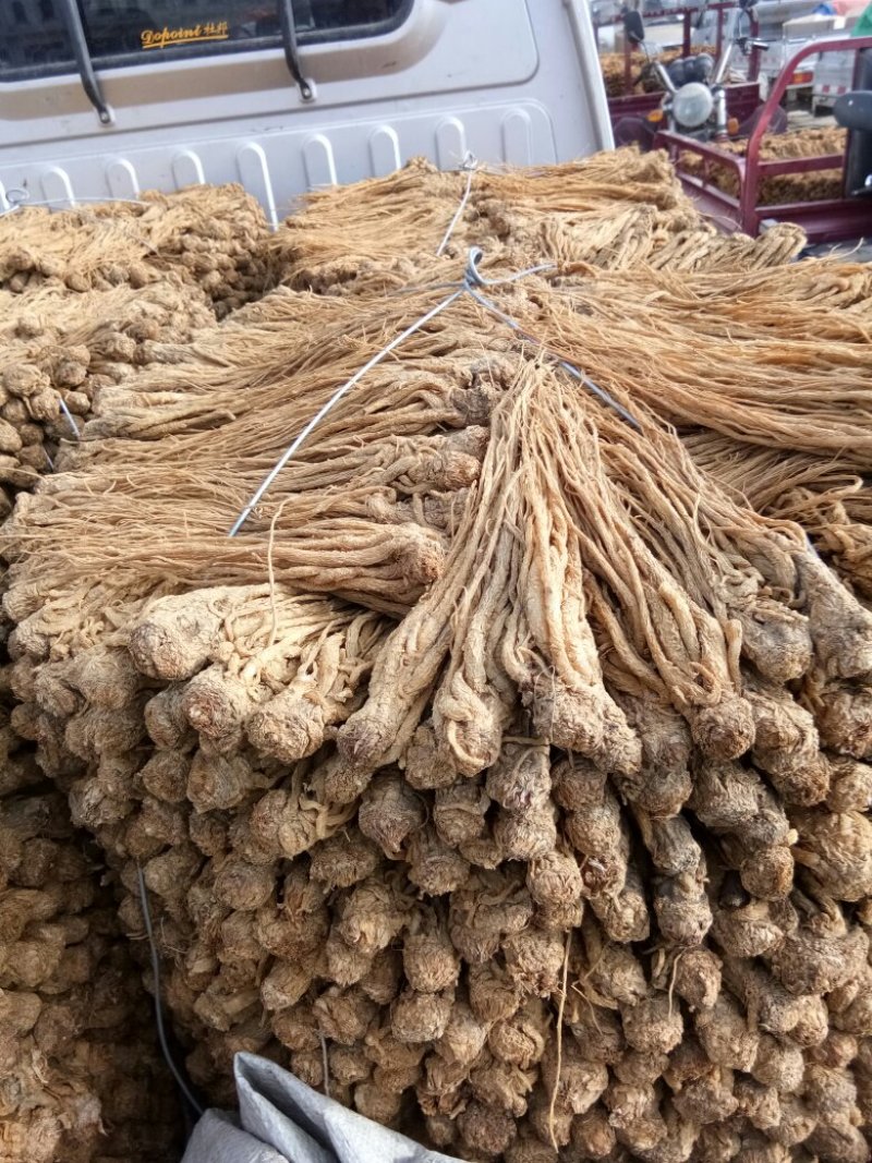 水洗黄当归，颜色好，条形长，做工细，个头一致。