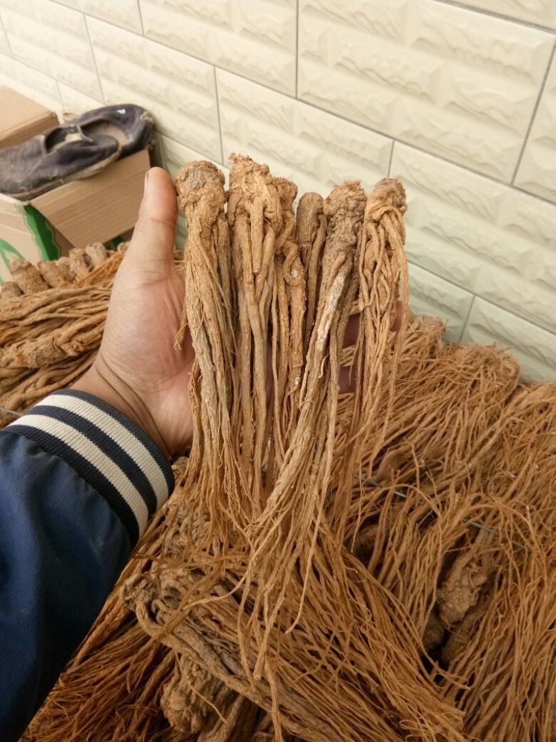 水洗黄当归，颜色好，条形长，做工细，个头一致。