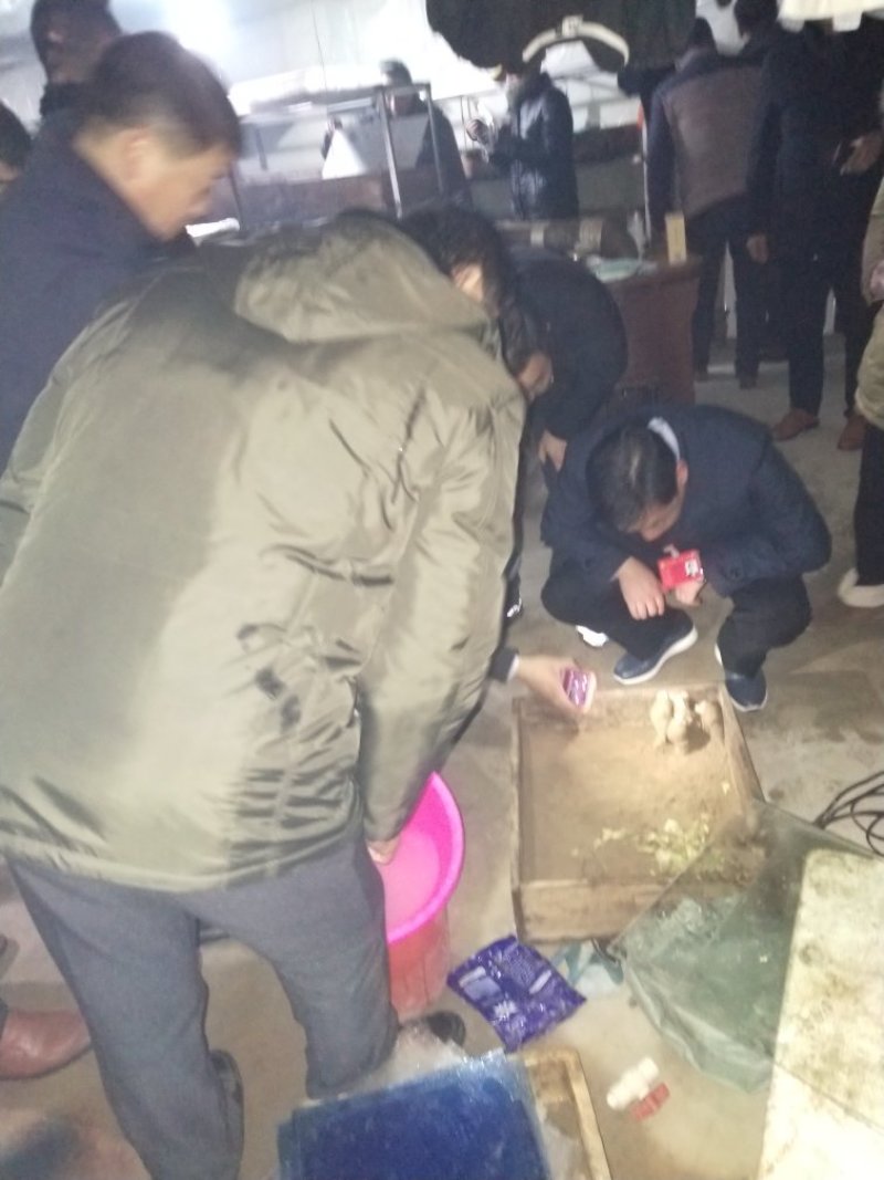白玉蜗牛