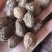 阳春砂仁。都是好货。