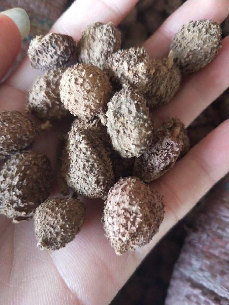 阳春砂仁。都是好货。