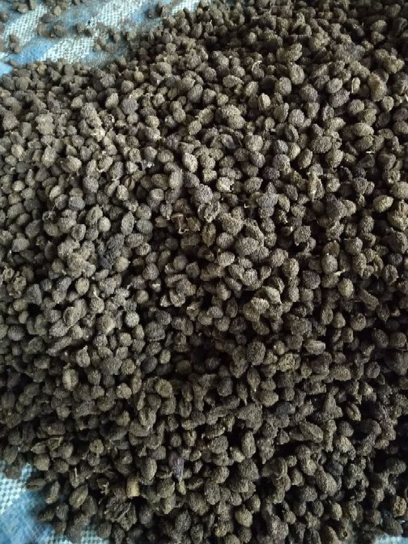 阳春砂仁。都是好货。