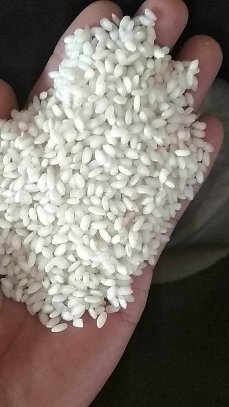 古树茶，红菇，鸡枞，缅甸魔米