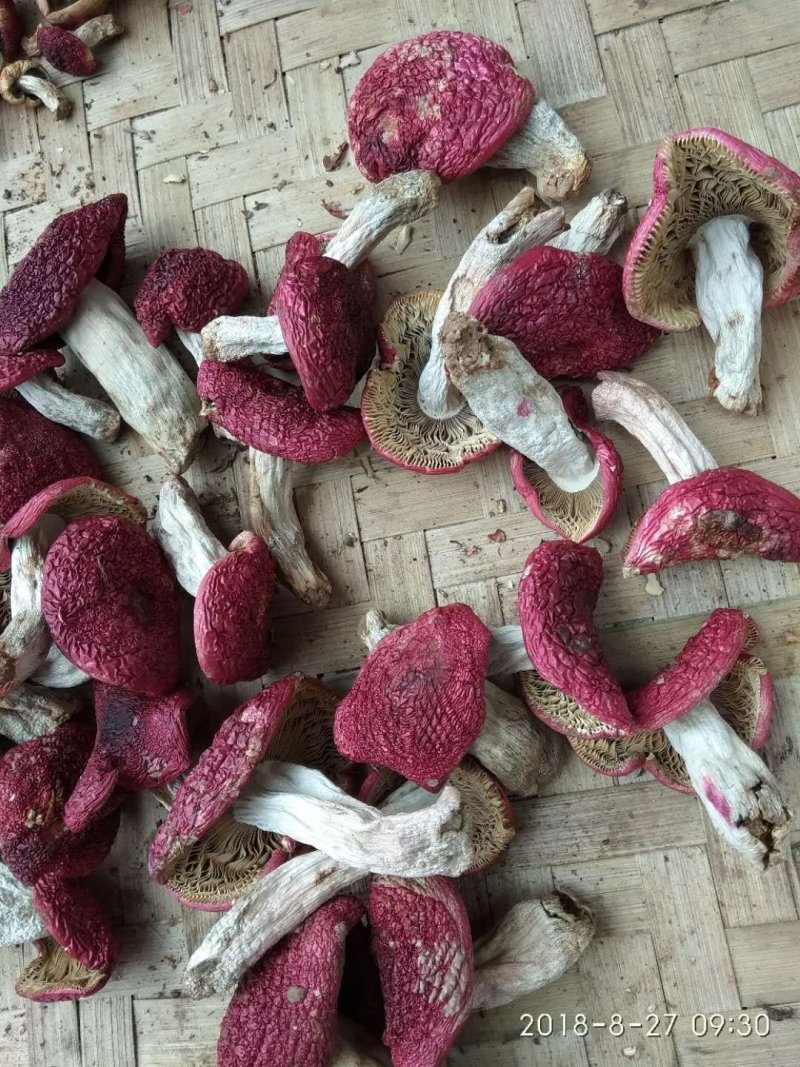 古树茶，红菇，鸡枞，缅甸魔米