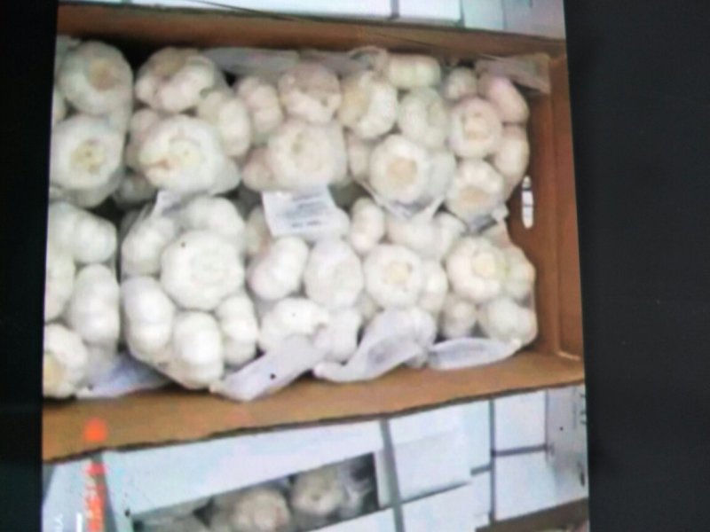 金乡大蒜