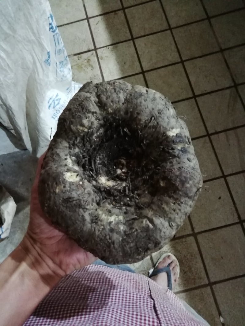 魔芋鲜货