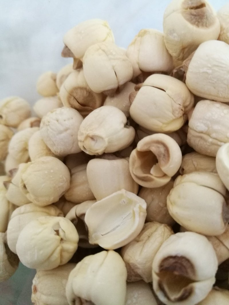 优质莲子干