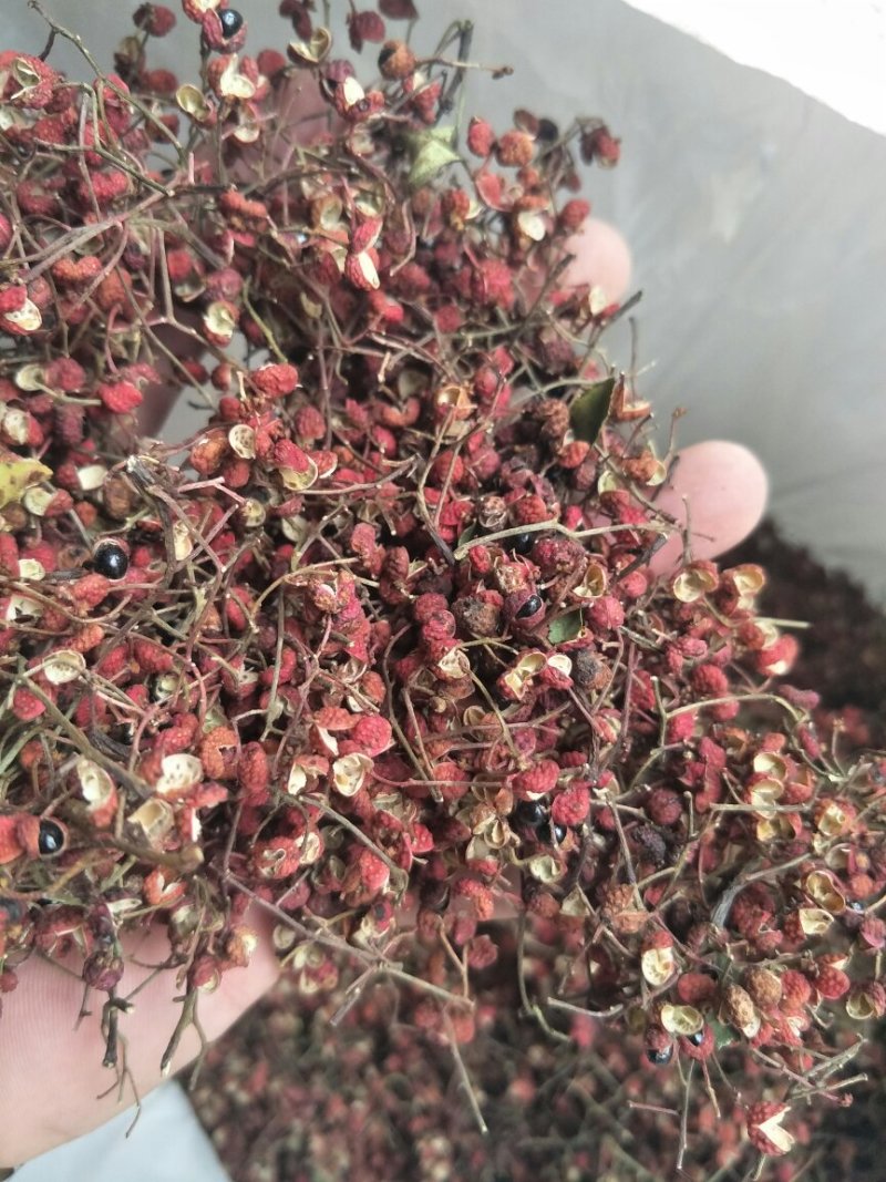 红皮花椒