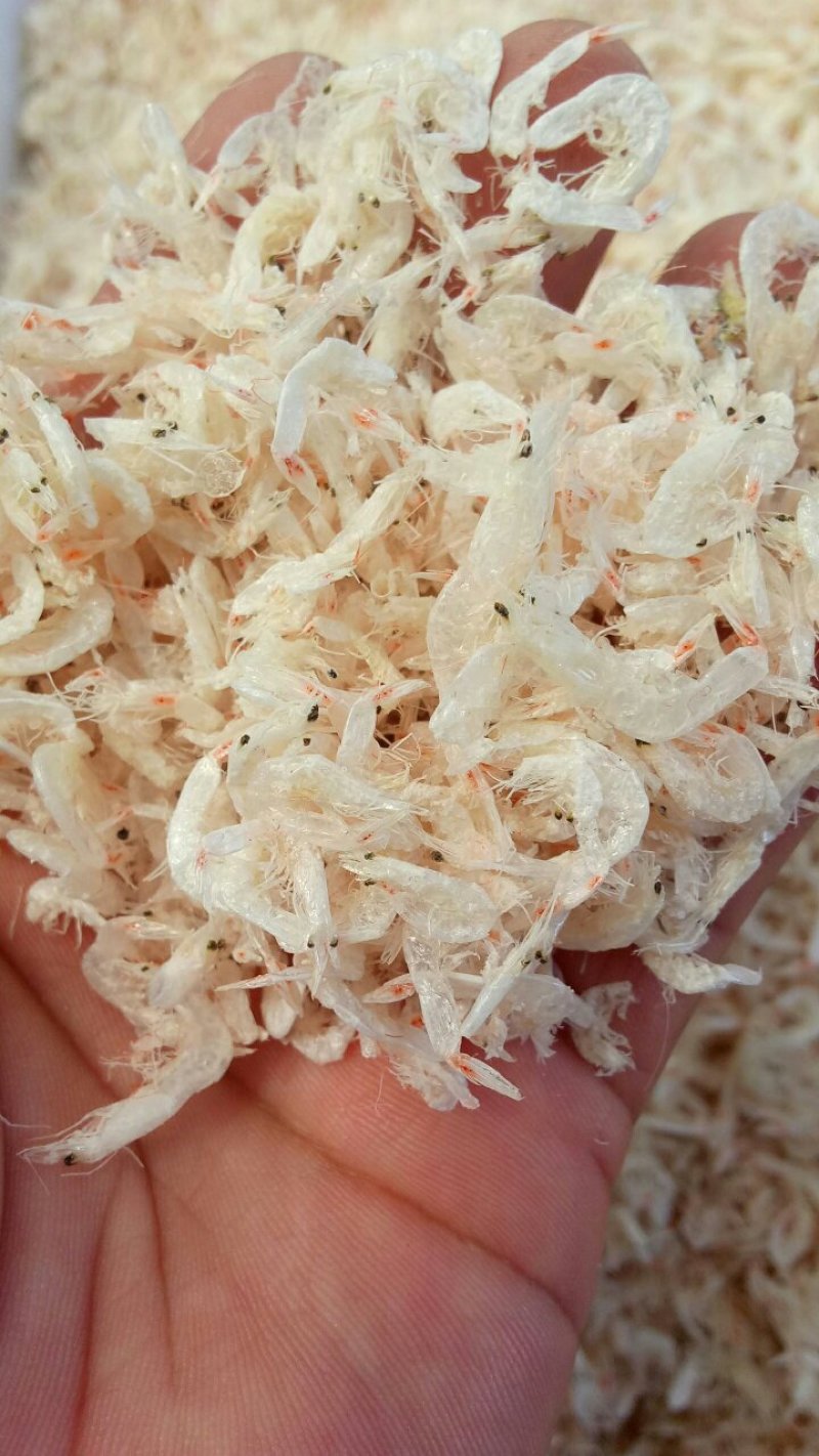 淡干虾皮
