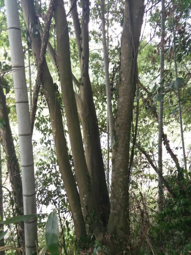 出售8-15