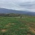 昭通市昭阳区3000亩山地旱地出租