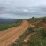 昭通市昭阳区3000亩山地旱地出租