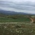 昭通市昭阳区3000亩山地旱地出租