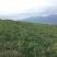 昭通市昭阳区3000亩山地旱地出租
