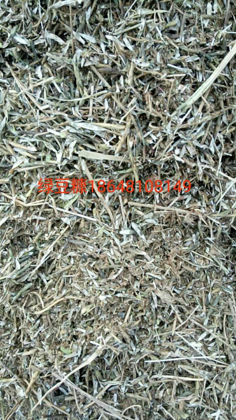牛羊饲料草