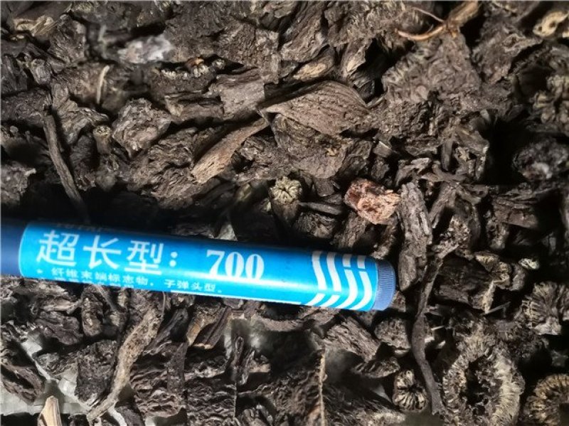 漏芦狼头花鬼油麻