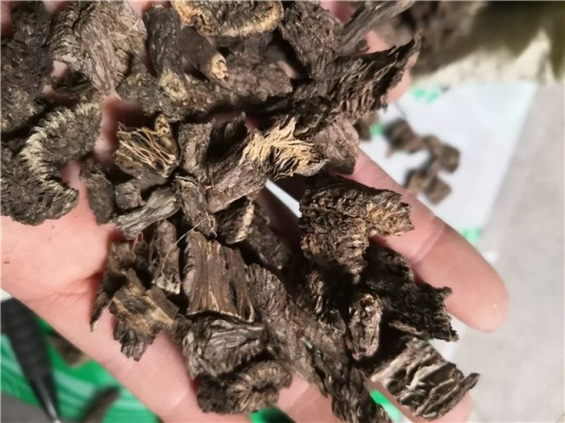 漏芦狼头花鬼油麻