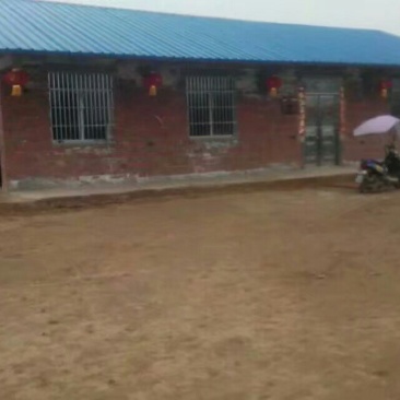 土地转让