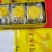 金丝皇菊