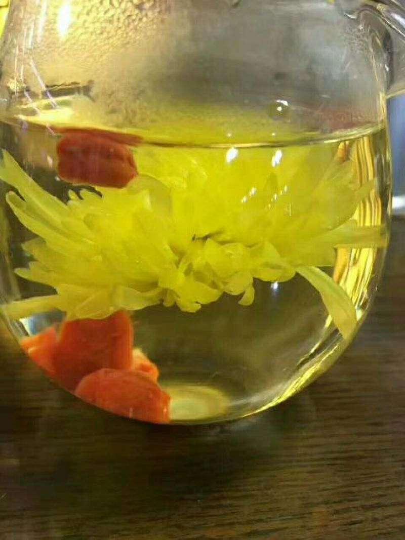 金丝皇菊
