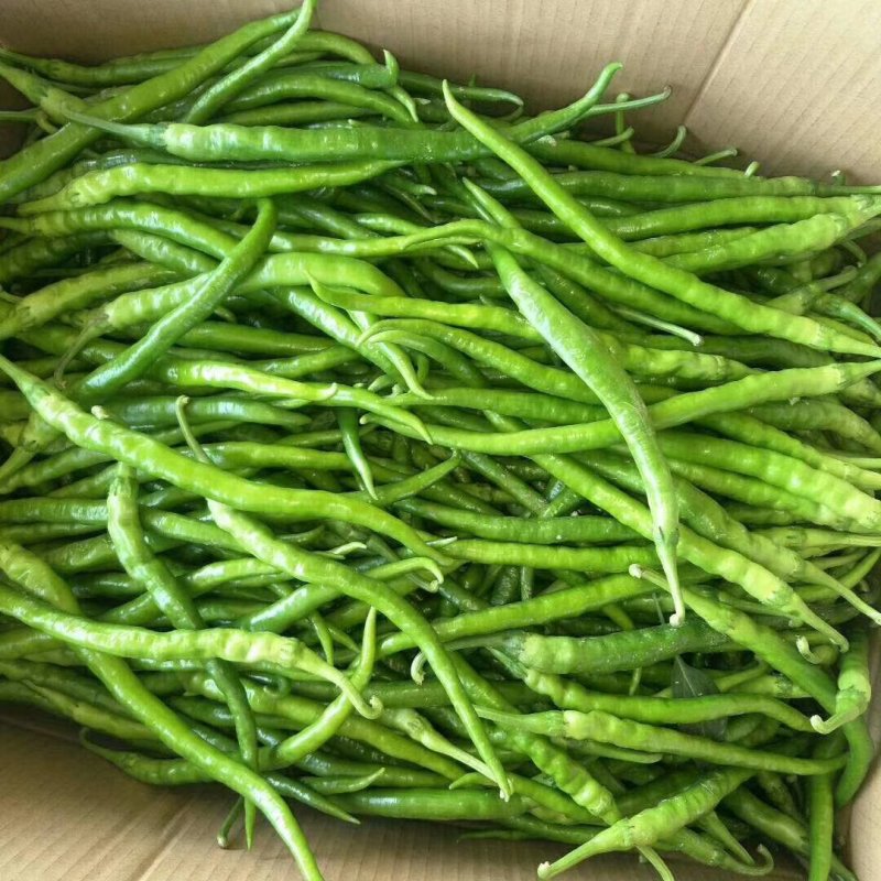 线椒螺丝=炮