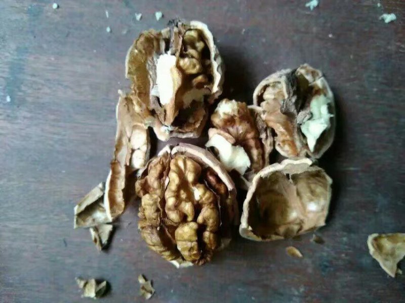 核桃农户自产自销