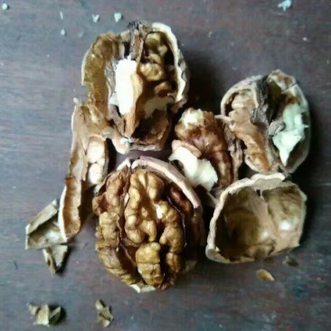 核桃