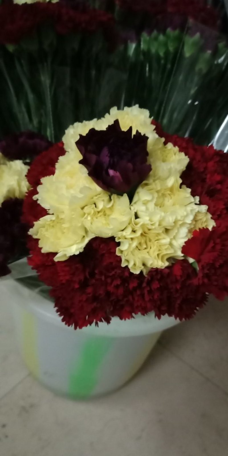 全国供应各种鲜花
