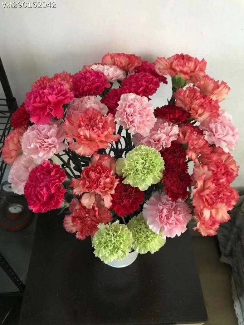全国供应各种鲜花